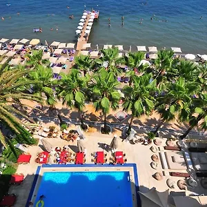 Palm Отель